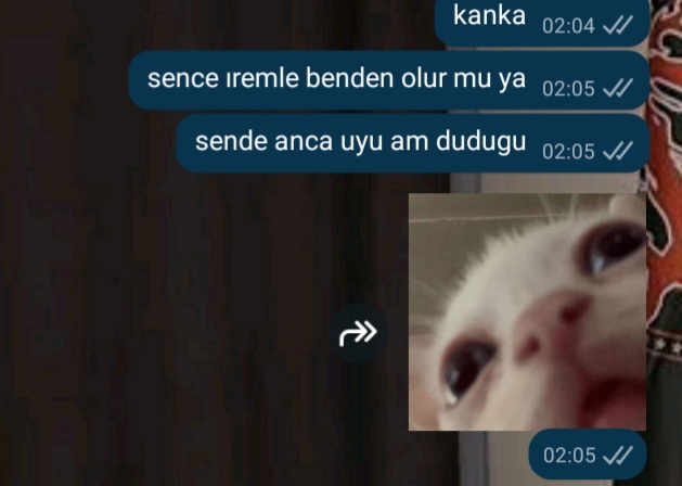 Gönderi görseli