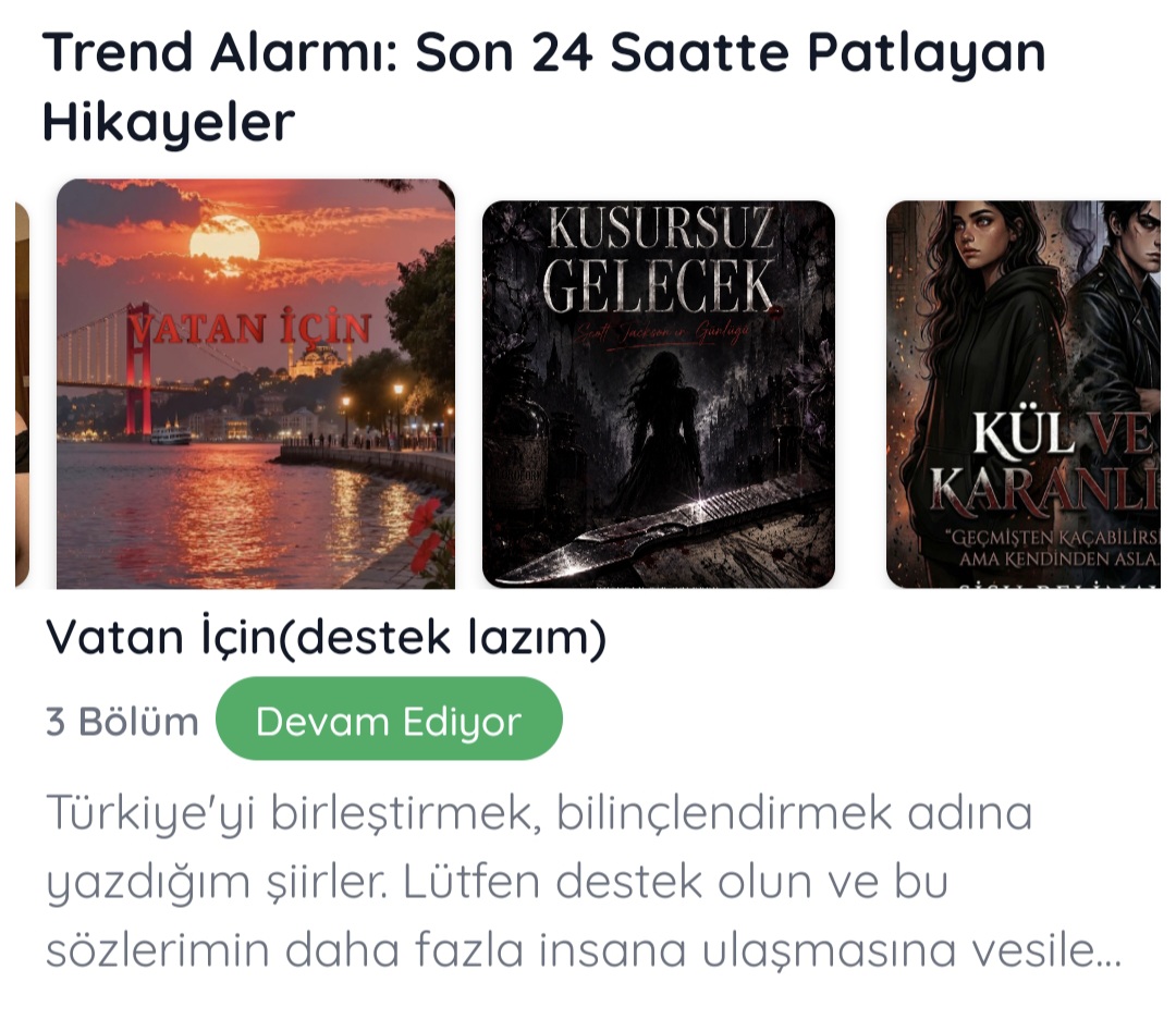 Gönderi görseli