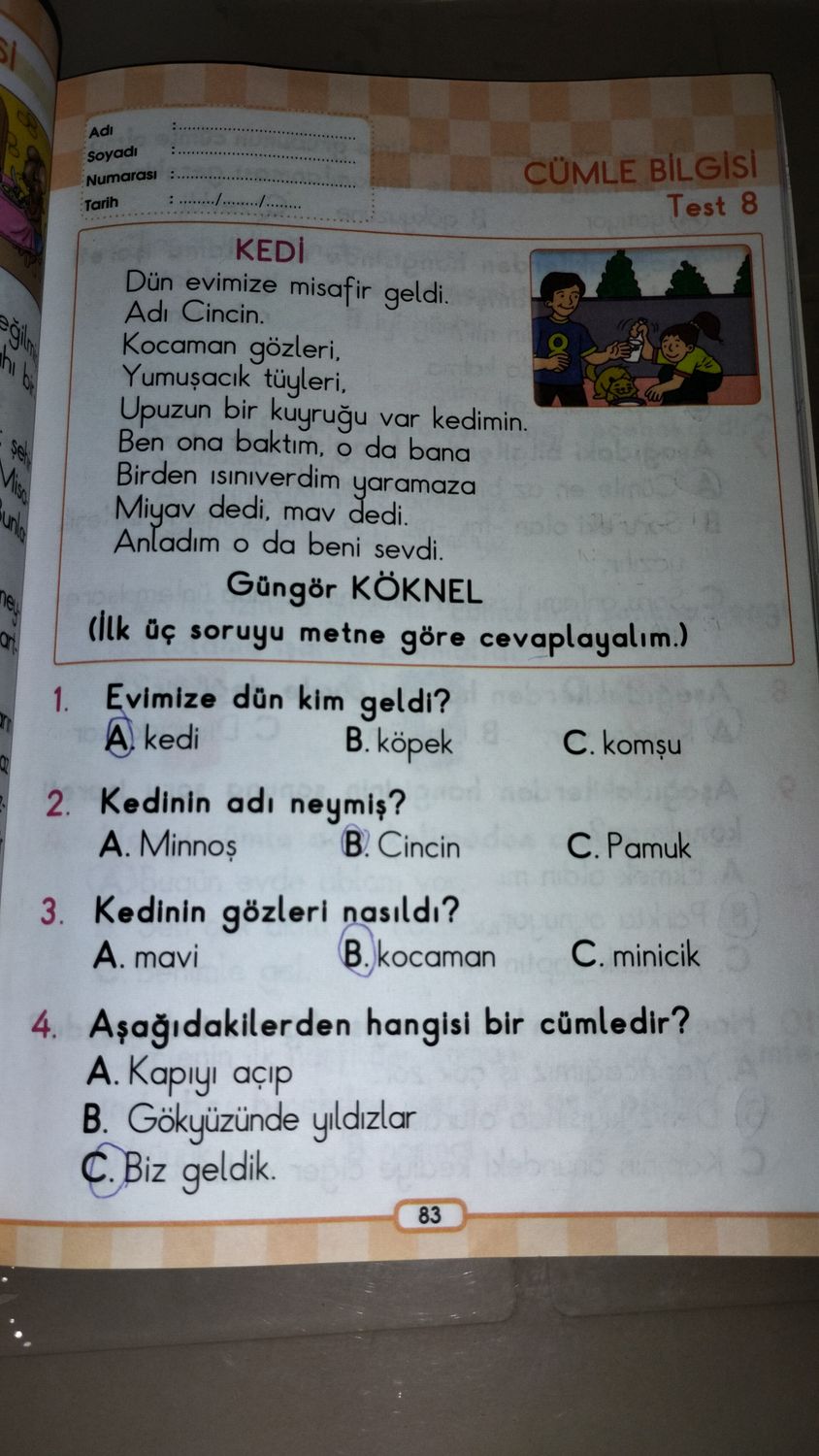 Gönderi görseli