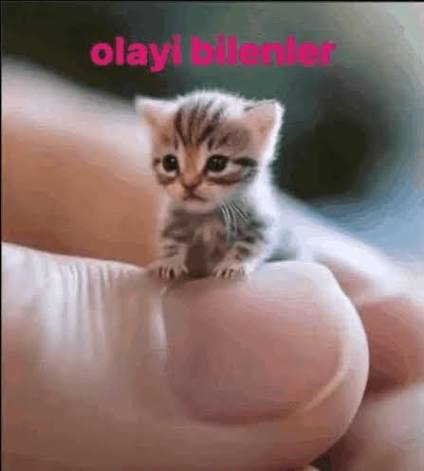 Gönderi görseli