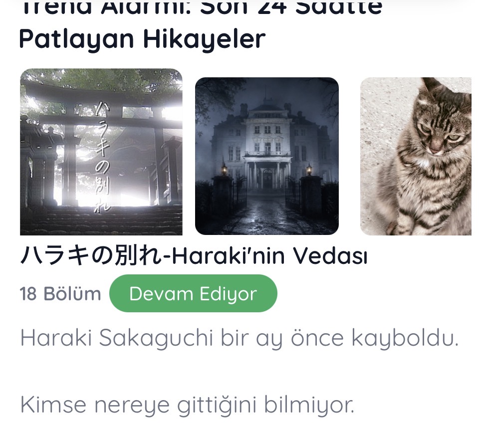 Gönderi görseli