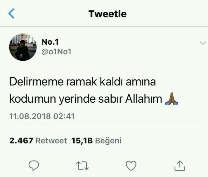 صورة المنشور