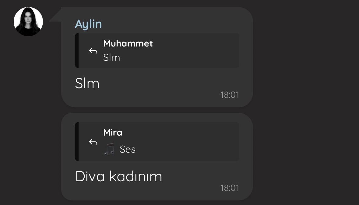 Gönderi görseli