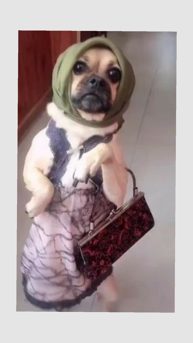 صورة المنشور