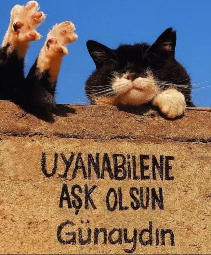 Gönderi görseli