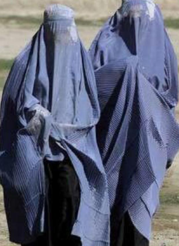 صورة المنشور