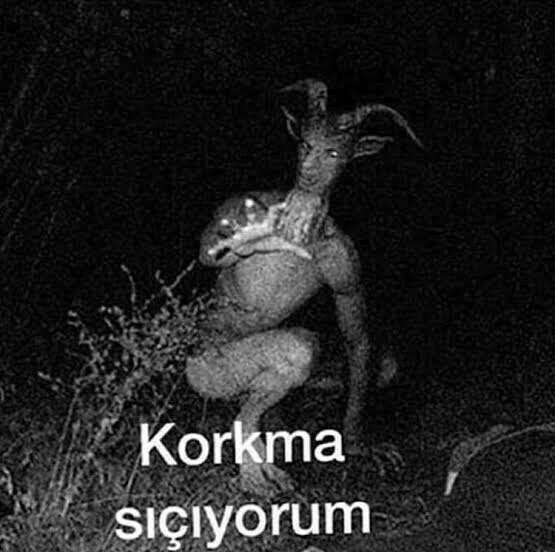 Gönderi görseli