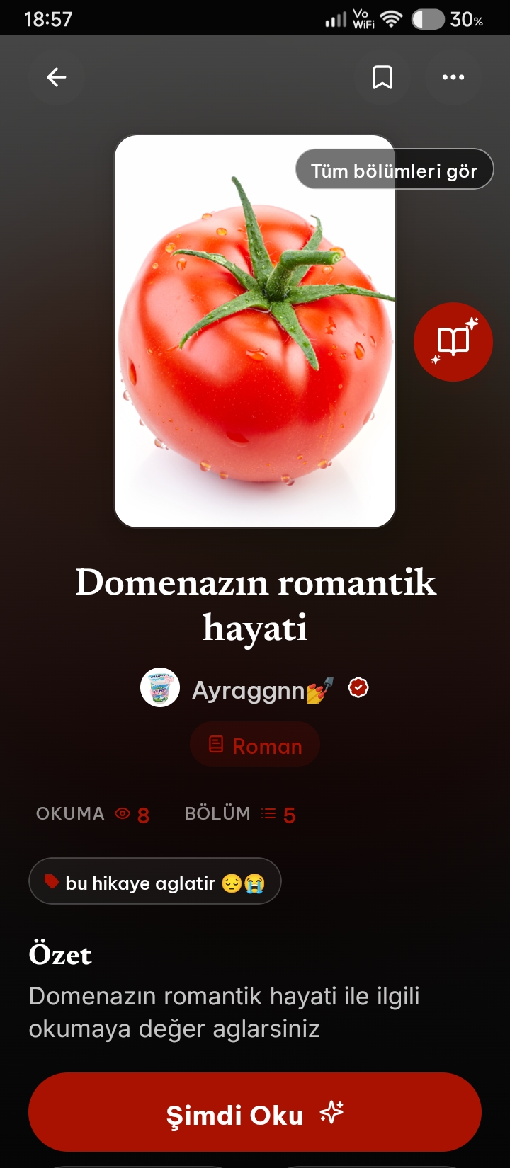 Gönderi görseli