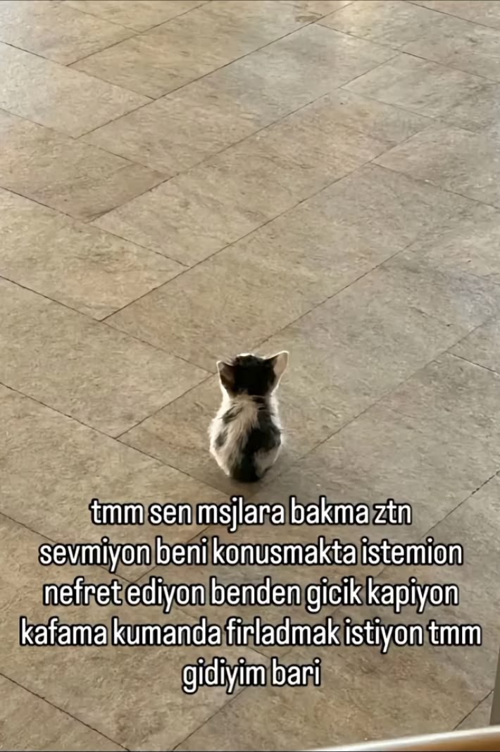 Gönderi görseli