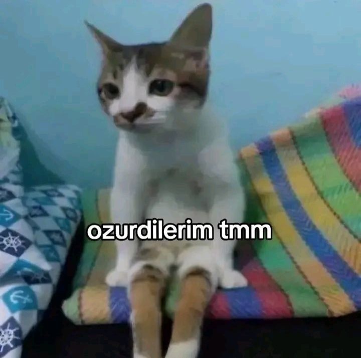 Gönderi görseli