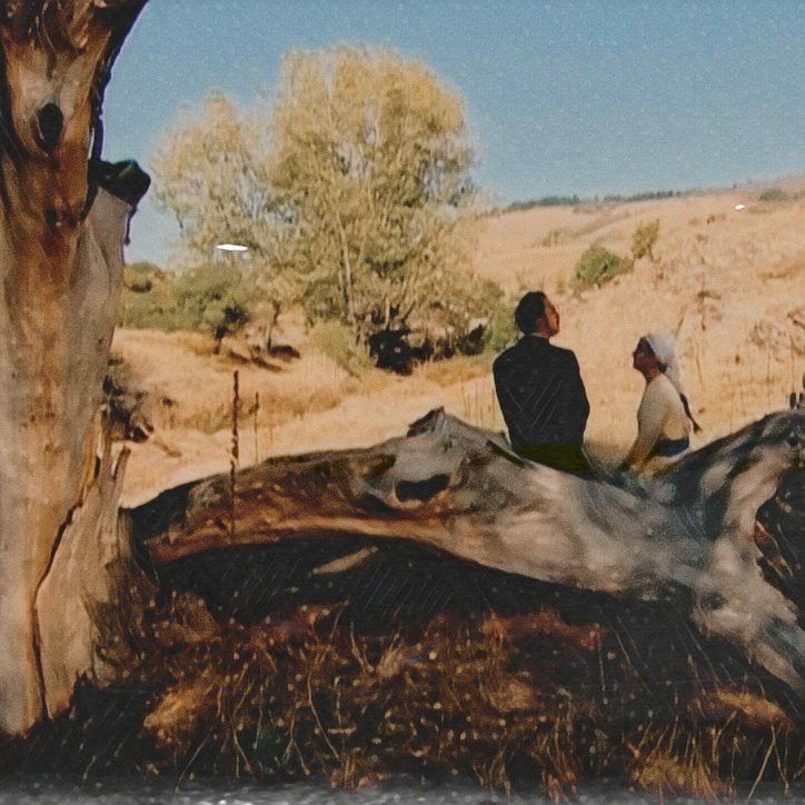 صورة المنشور