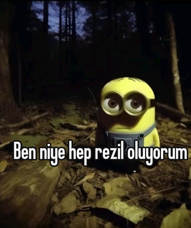 Gönderi görseli
