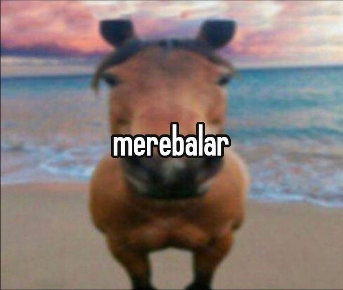 صورة المنشور