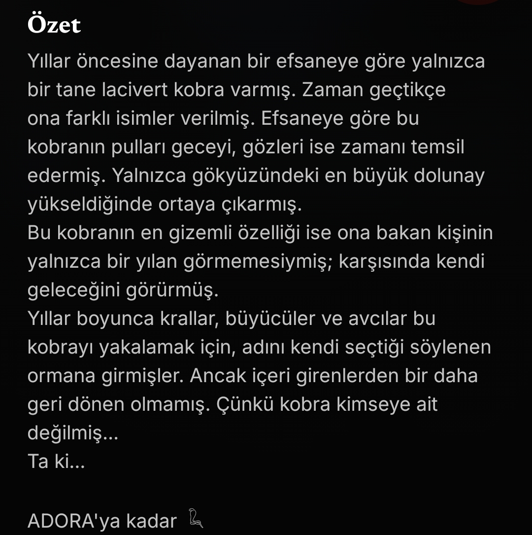 Gönderi görseli
