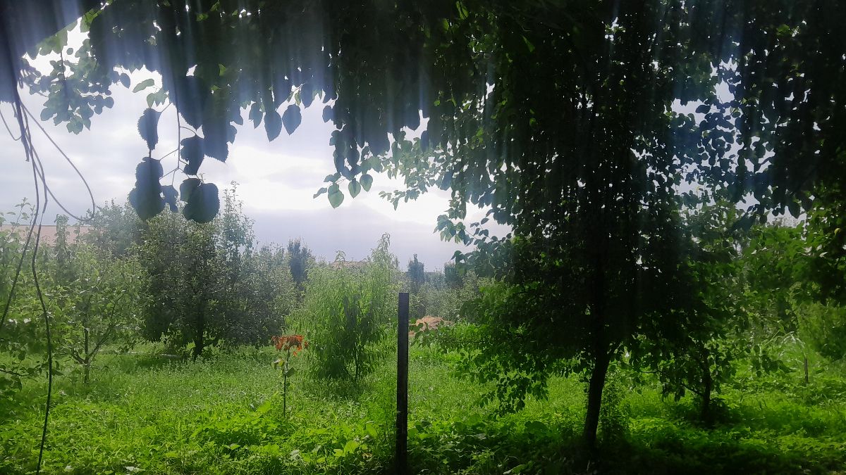 Gönderi görseli