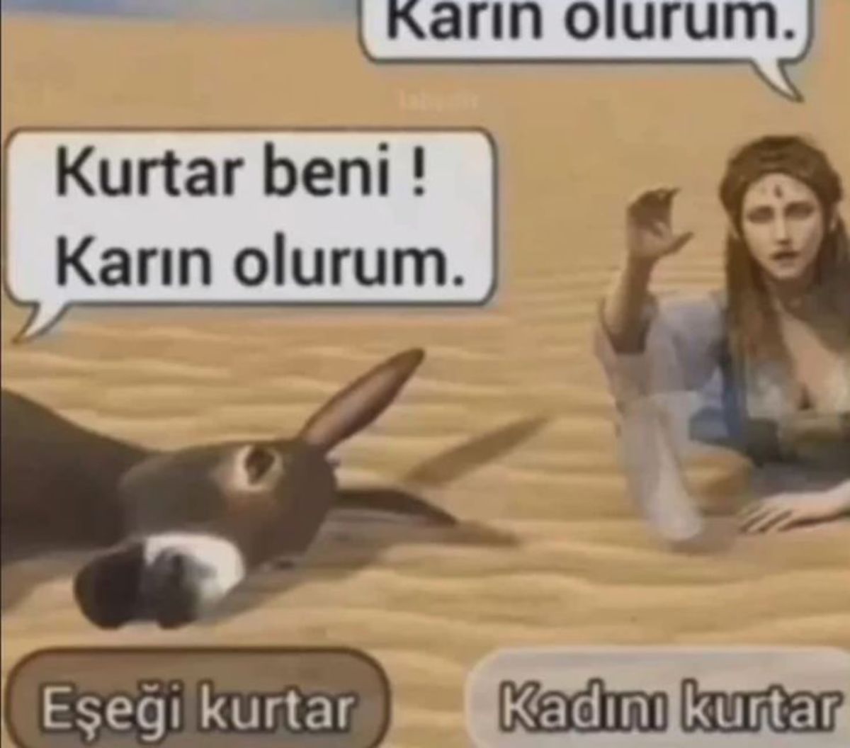 Gönderi görseli