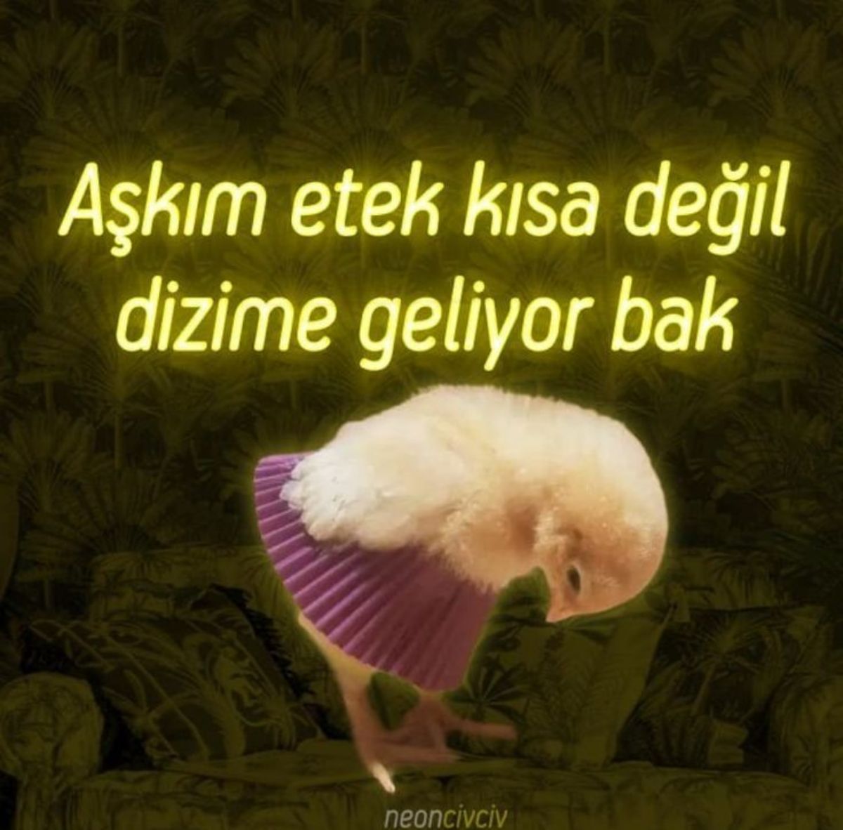 Gönderi görseli