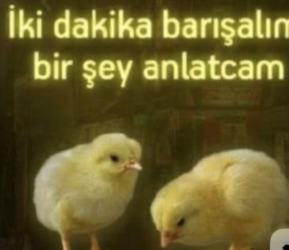 Gönderi görseli