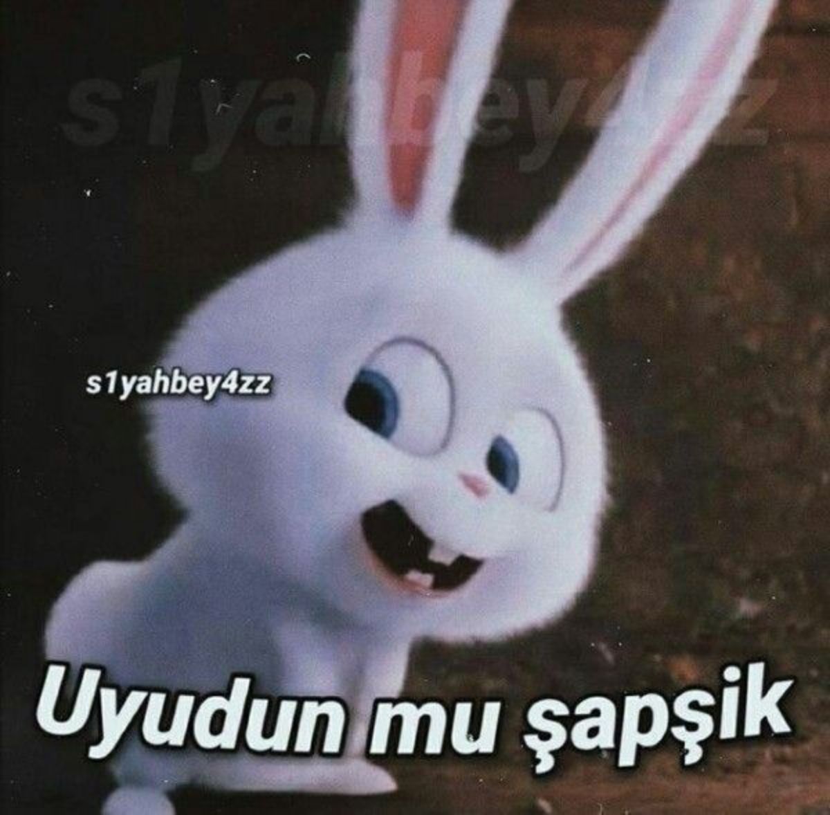 Gönderi görseli