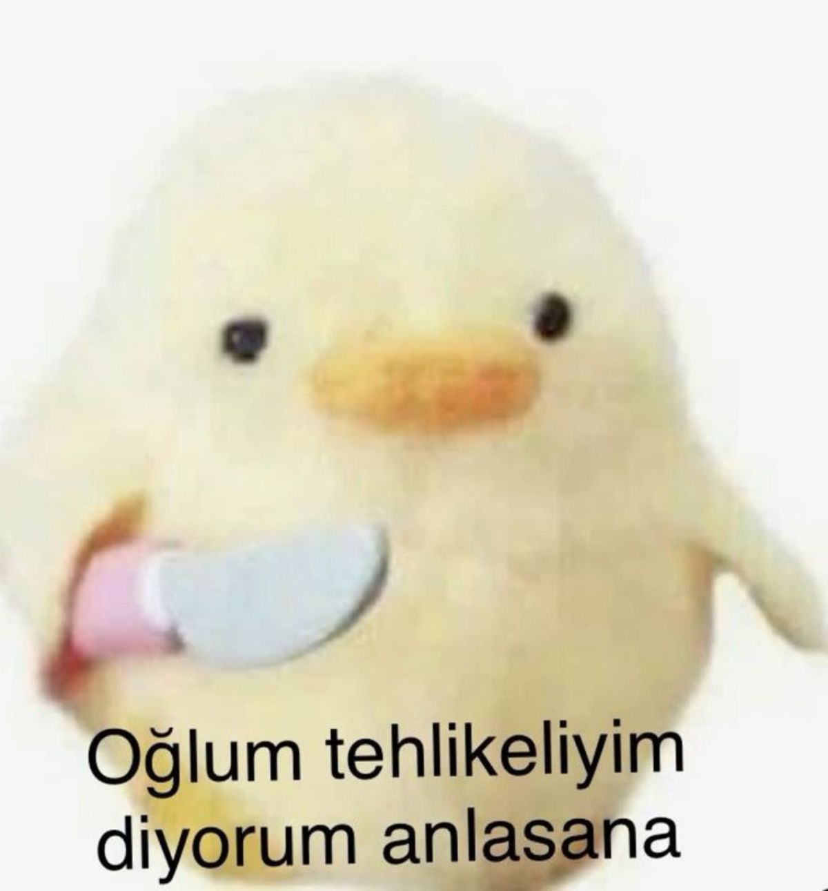 Gönderi görseli