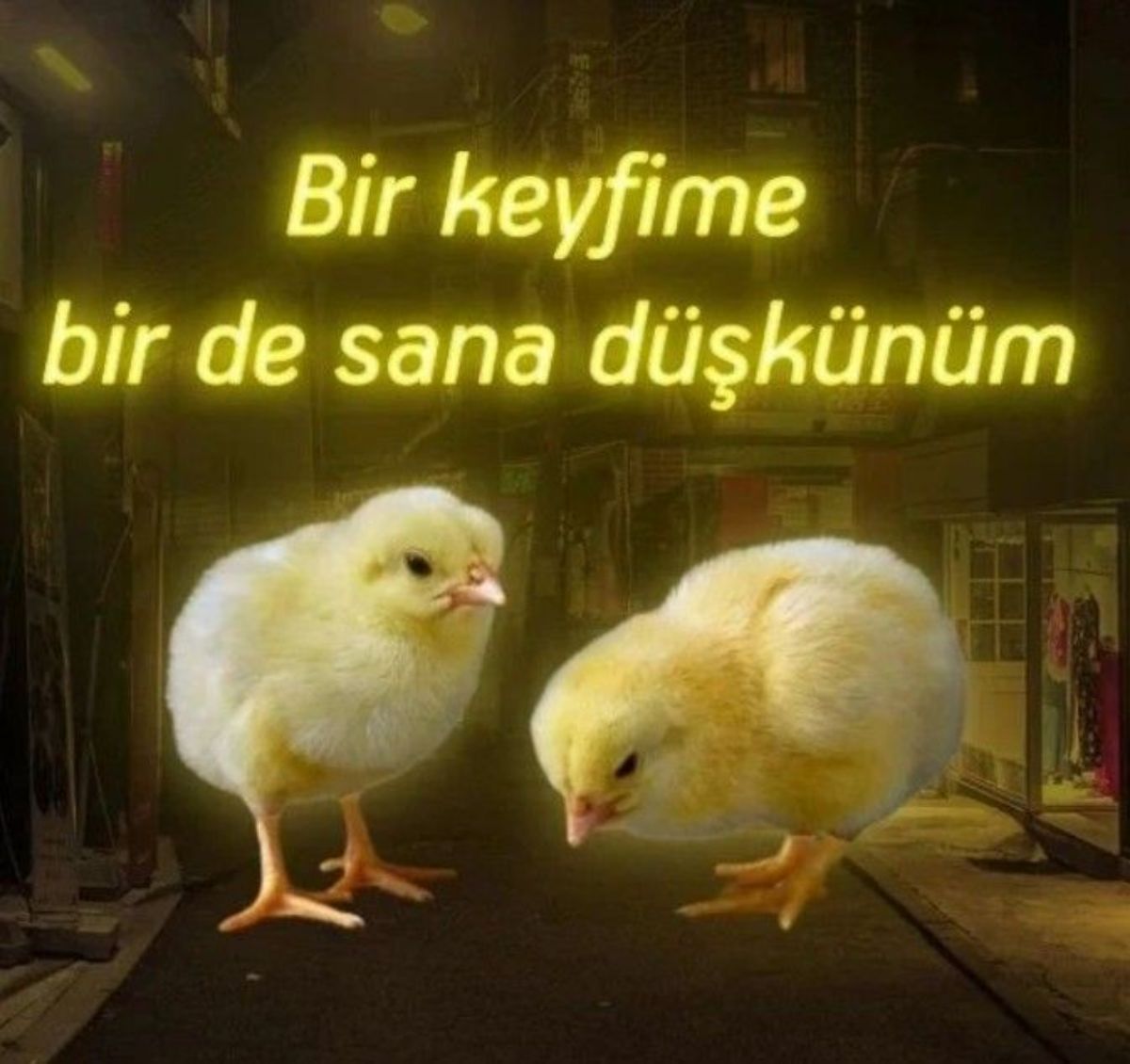 Gönderi görseli