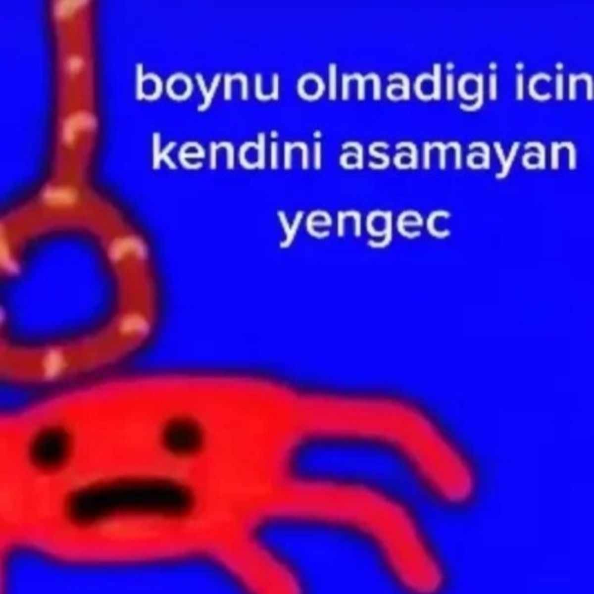Gönderi görseli