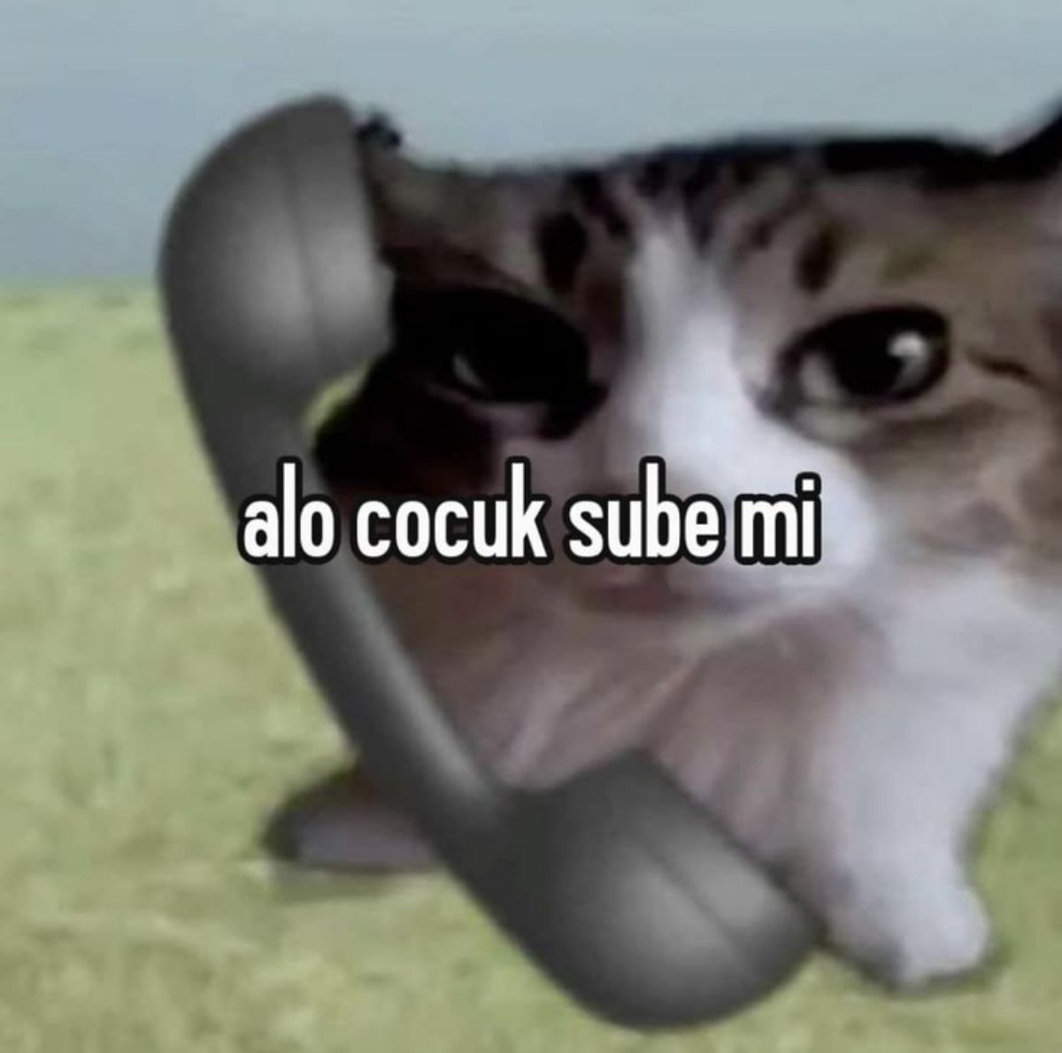 Gönderi görseli