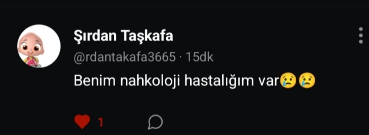 Gönderi görseli