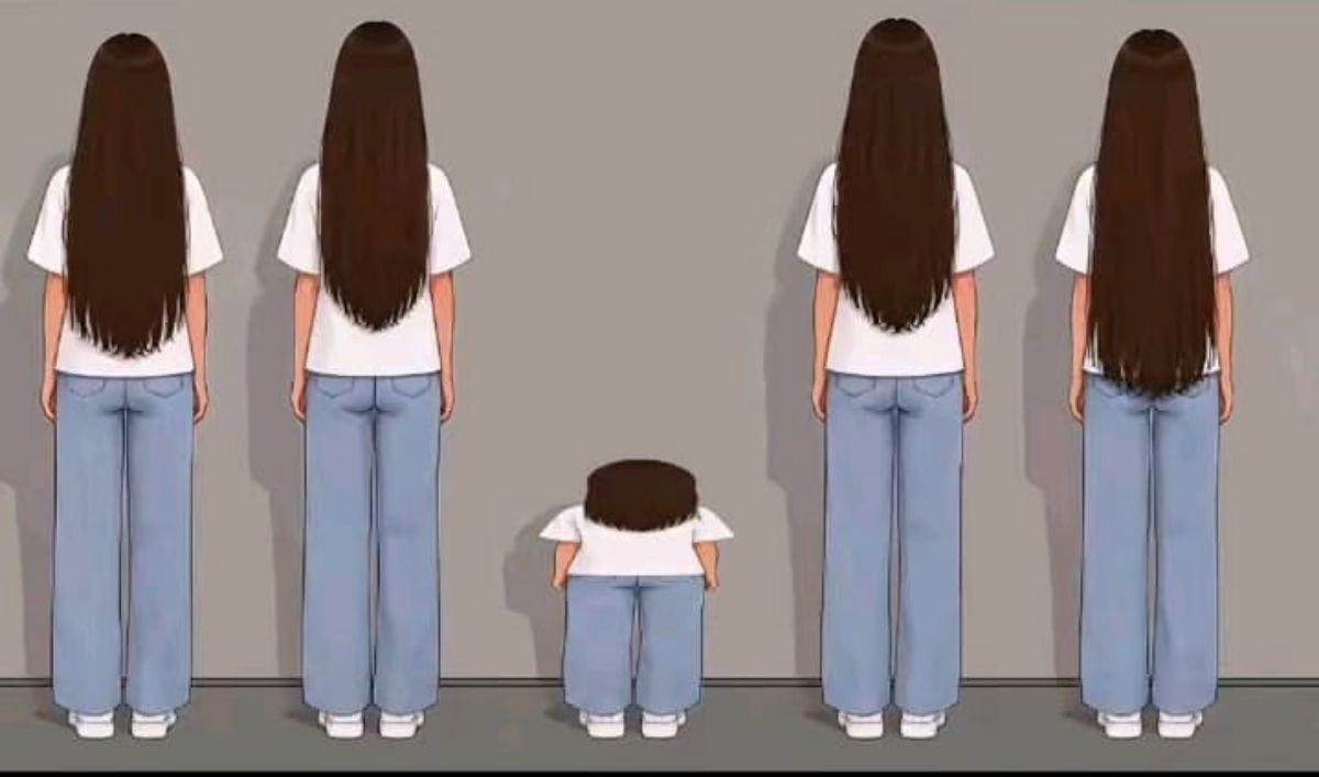 ุตูุฑุฉ ุงูู
ูุดูุฑ