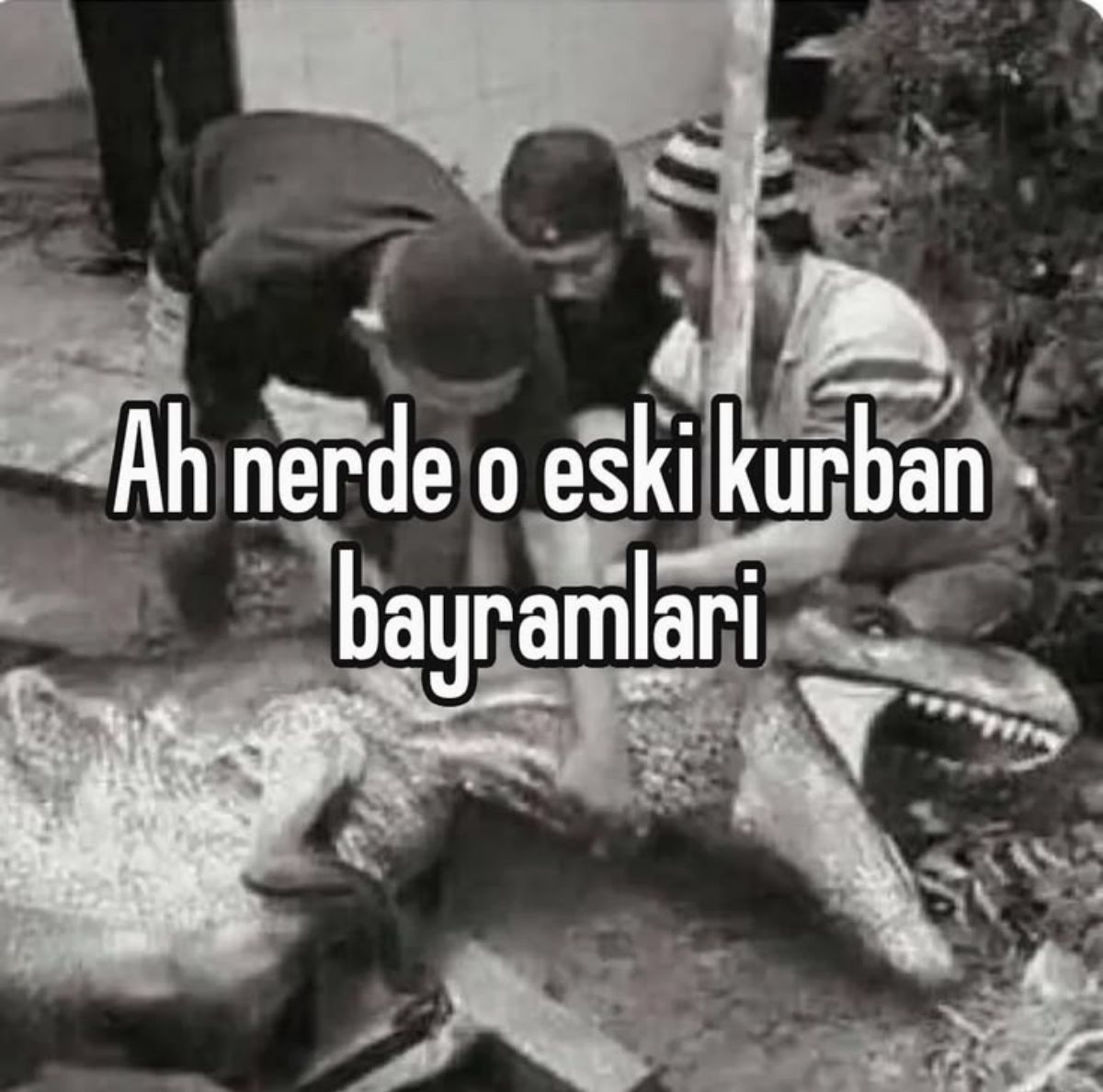 صورة المنشور