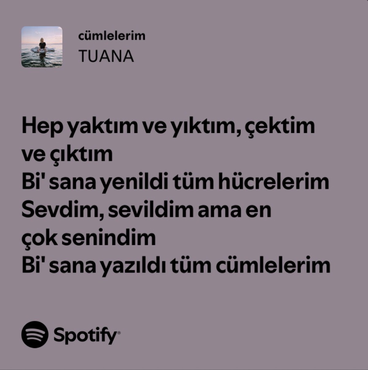 Gönderi görseli