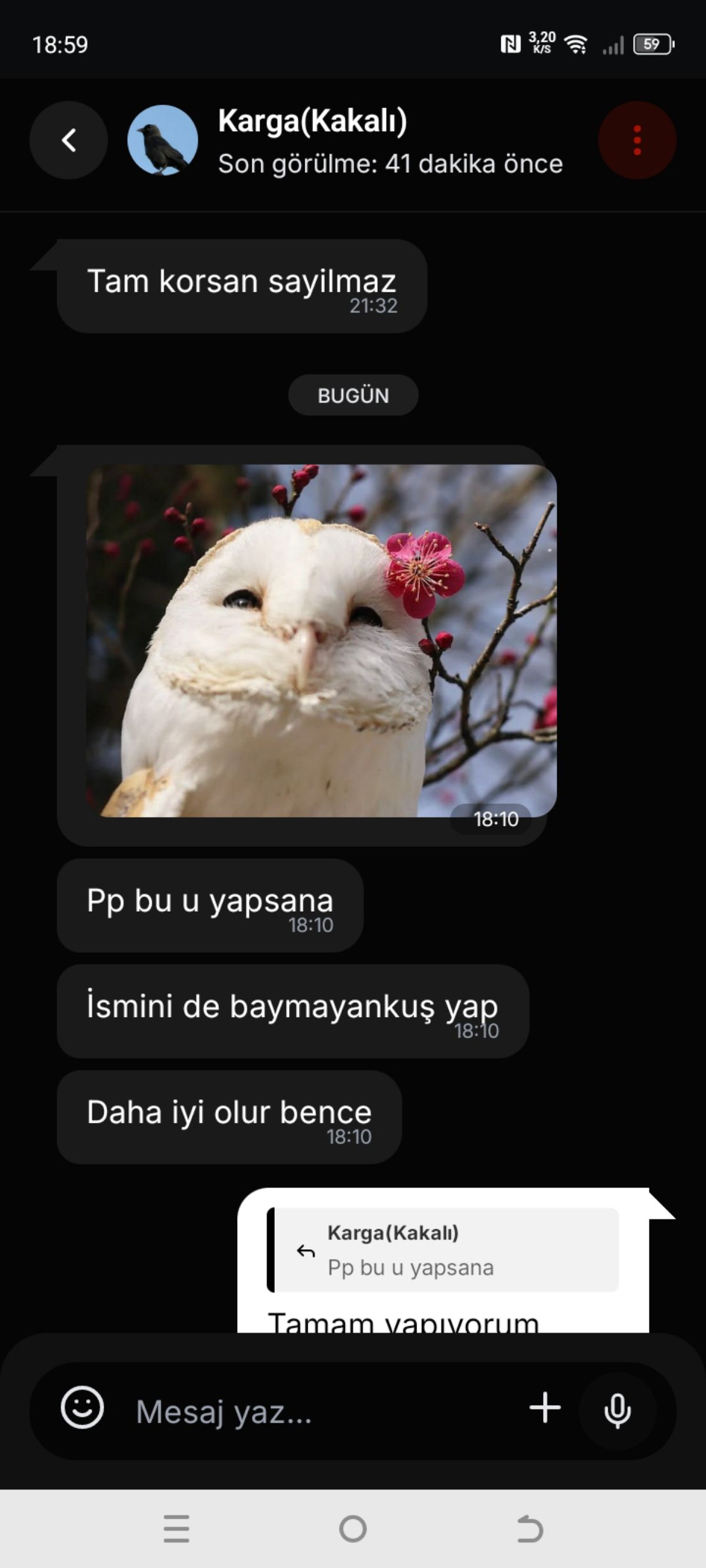 Gönderi görseli