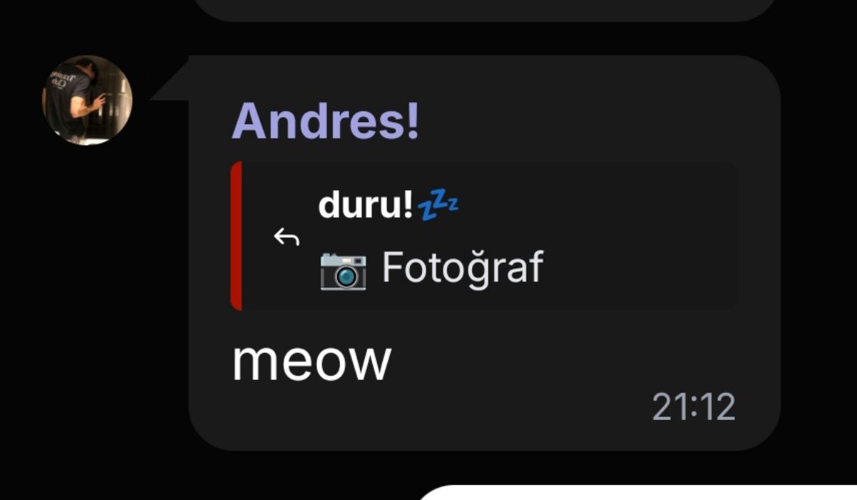 Gönderi görseli