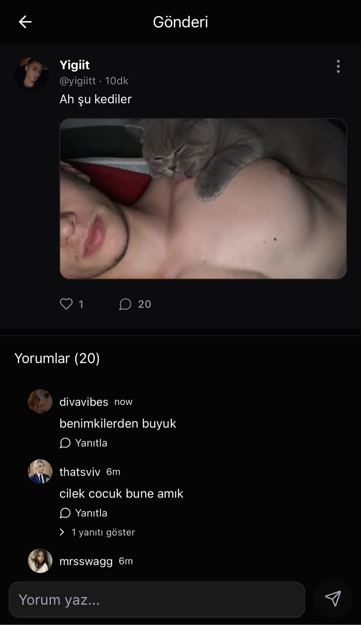 Gönderi görseli