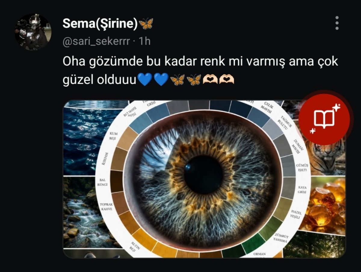 Gönderi görseli