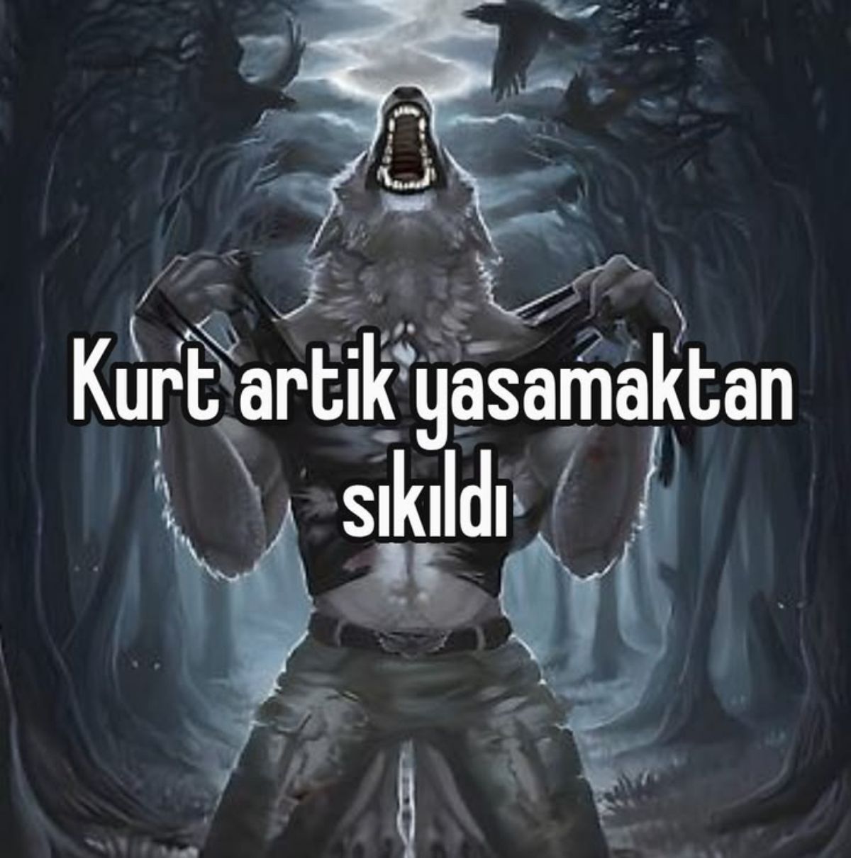 Gönderi görseli