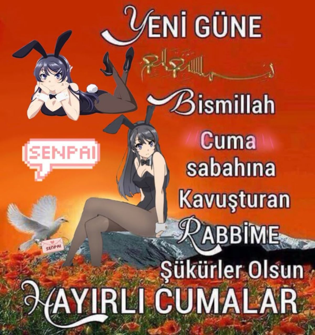 Gönderi görseli