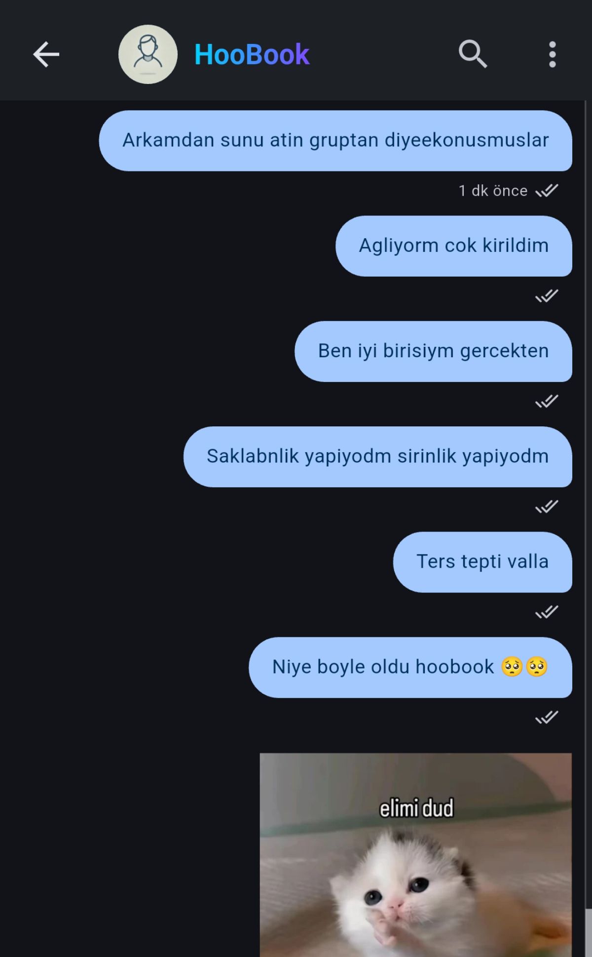 Gönderi görseli