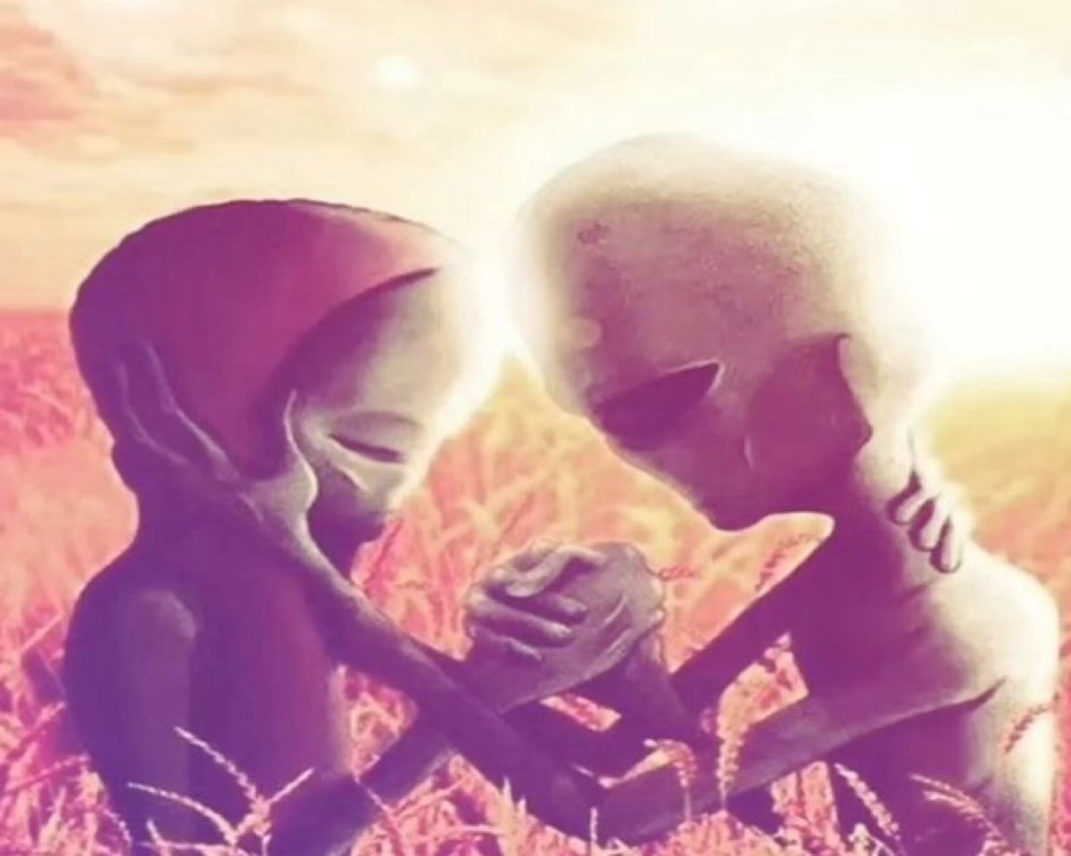 صورة المنشور