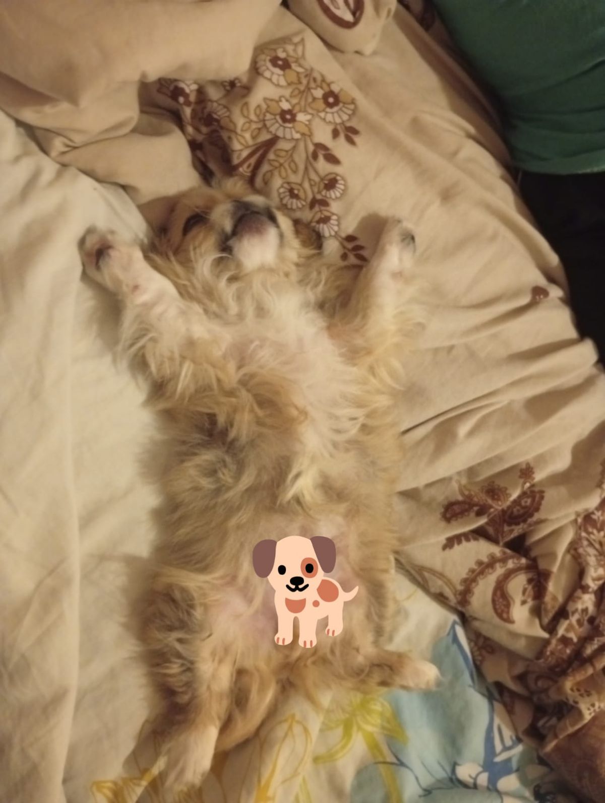 Gönderi görseli