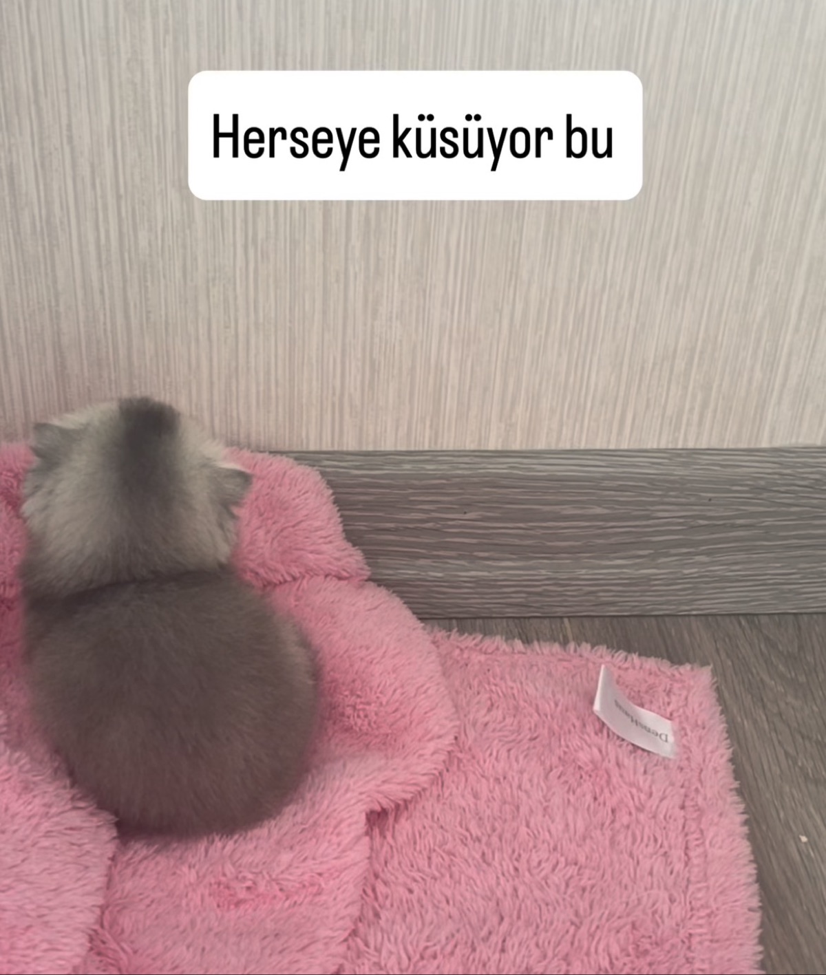 Gönderi görseli