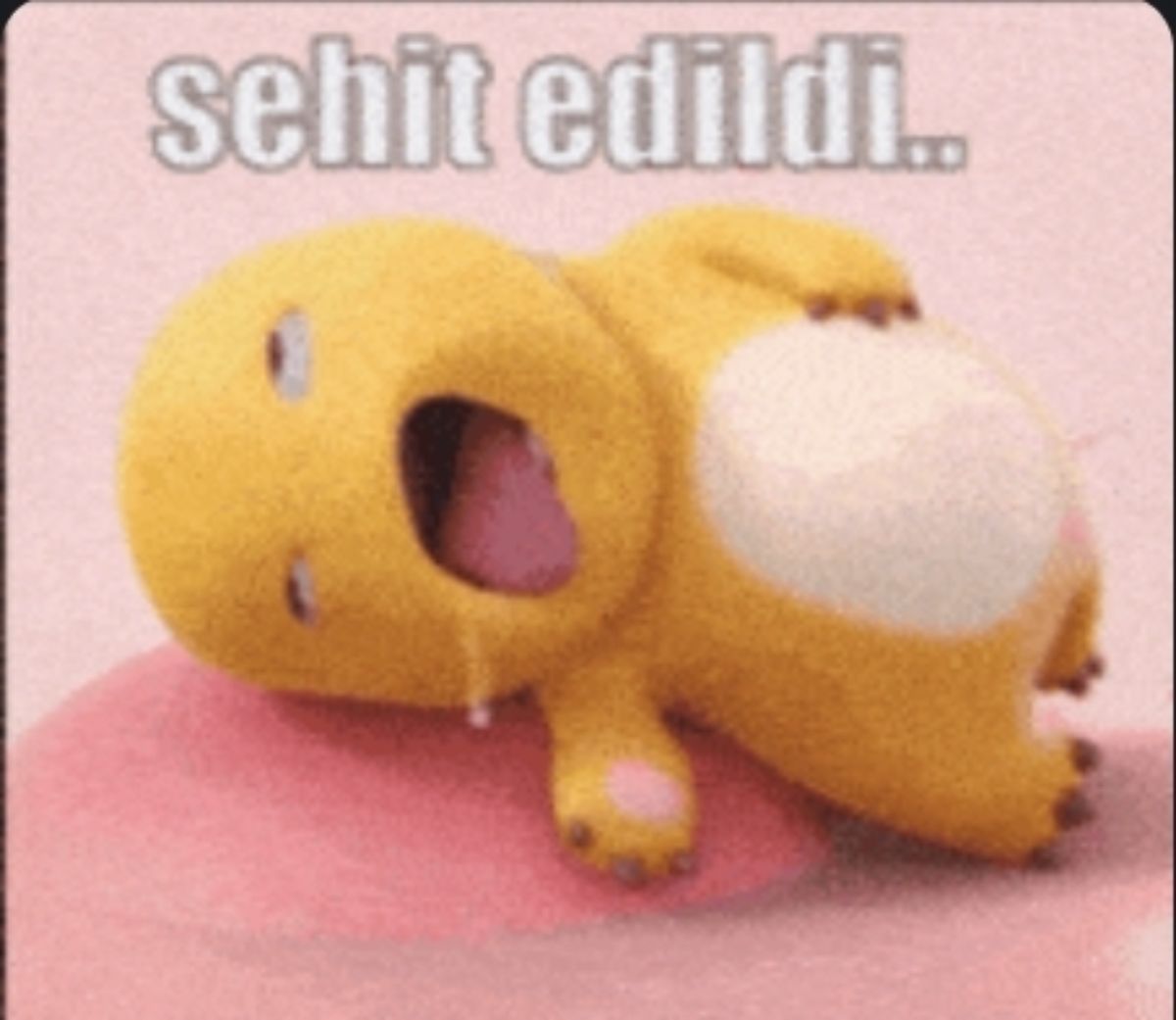 Gönderi görseli