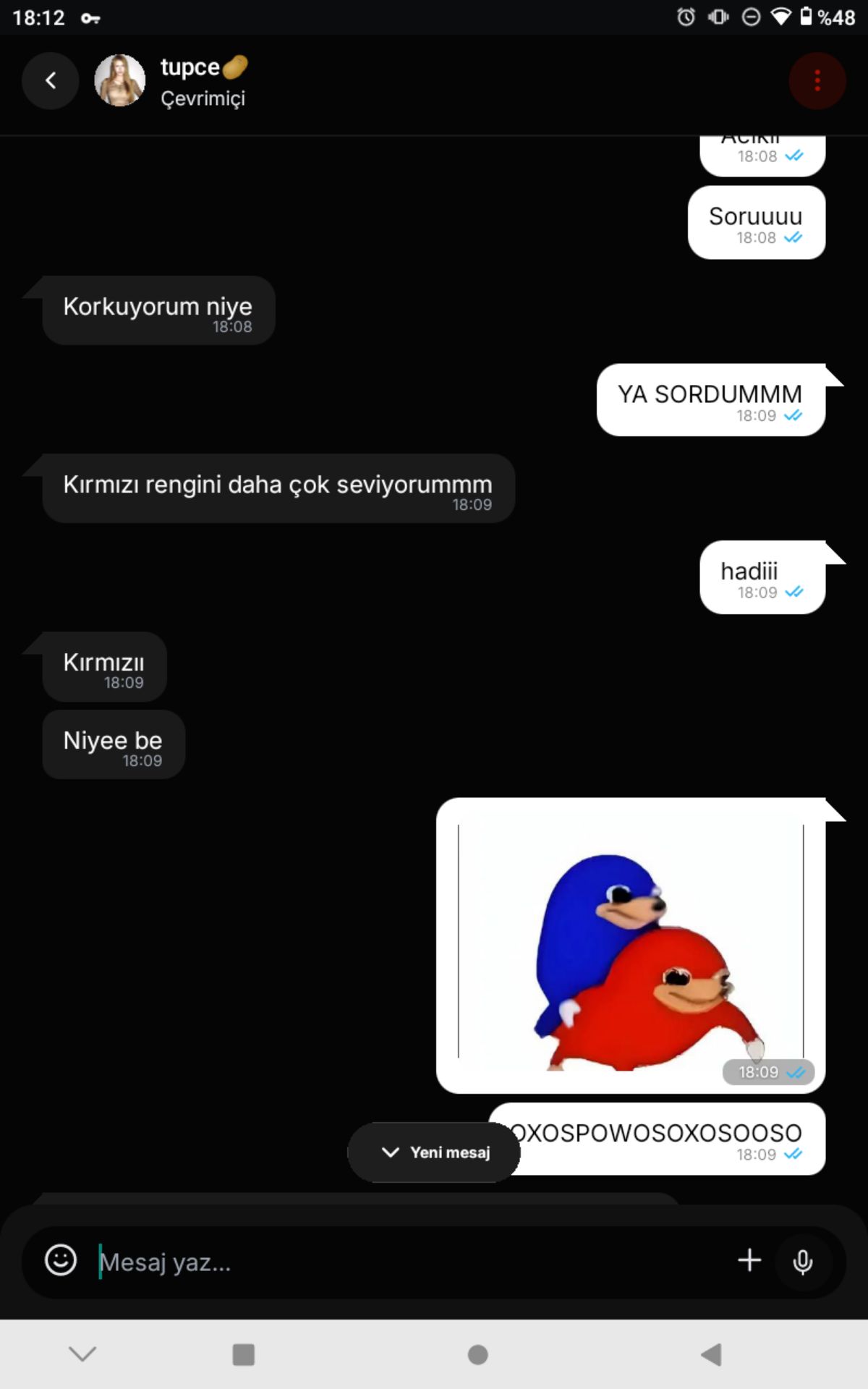 Gönderi görseli