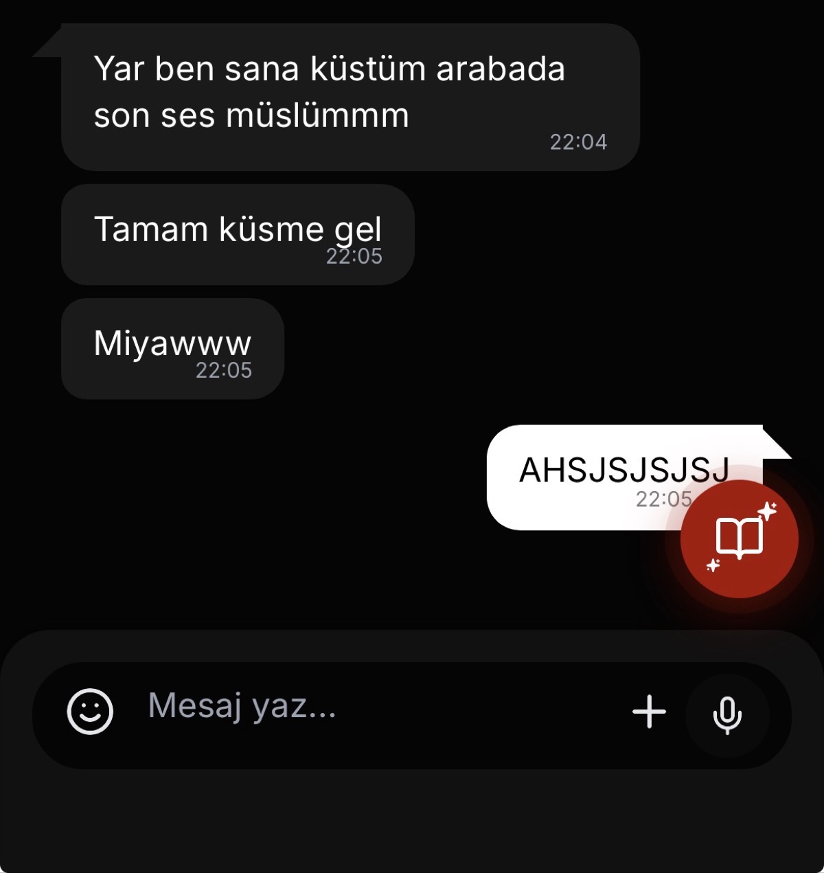 Gönderi görseli