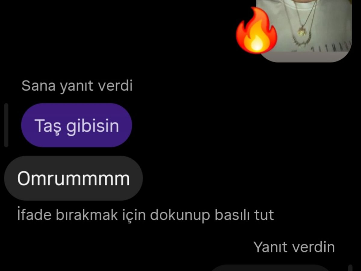 ุตูุฑุฉ ุงูู
ูุดูุฑ