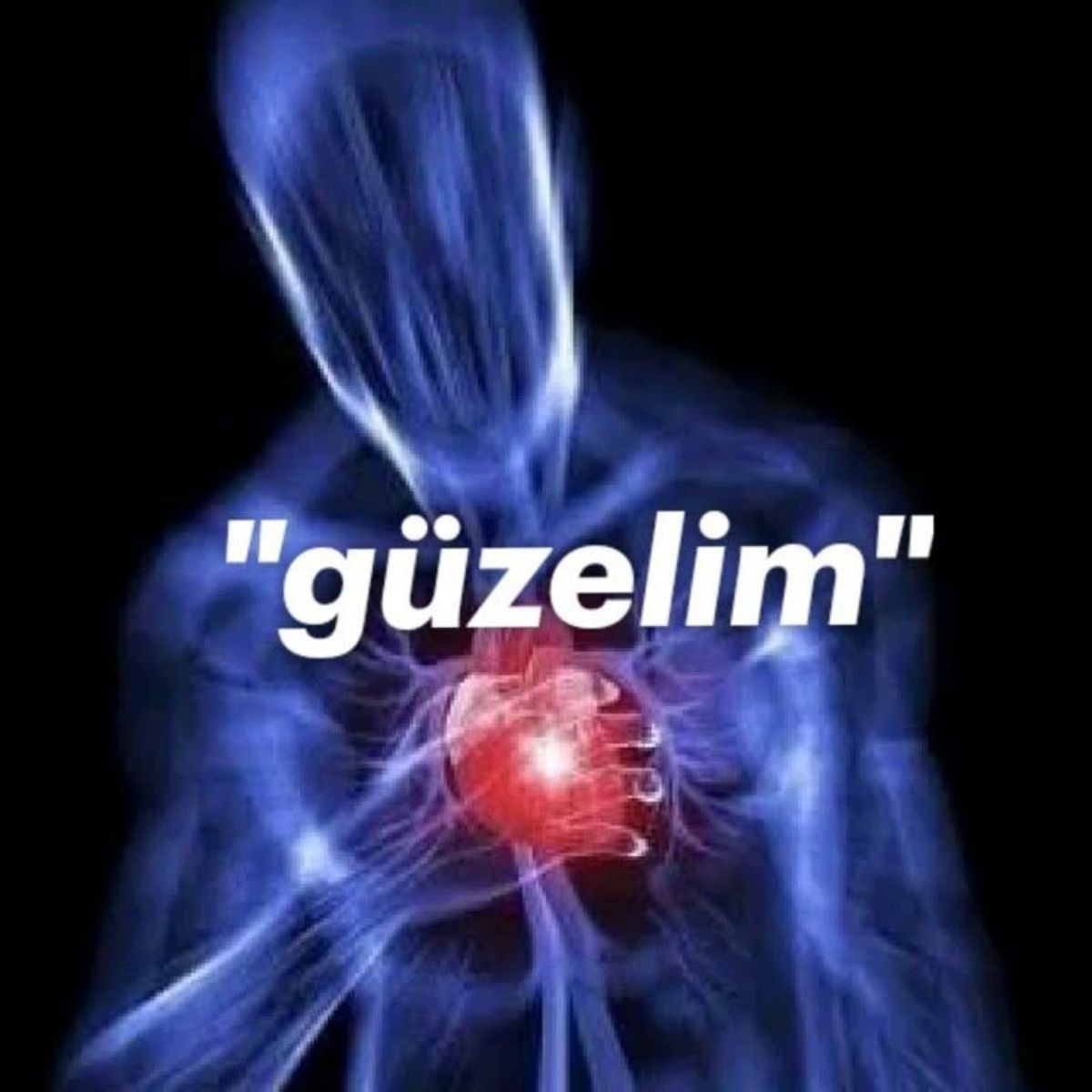 Gönderi görseli