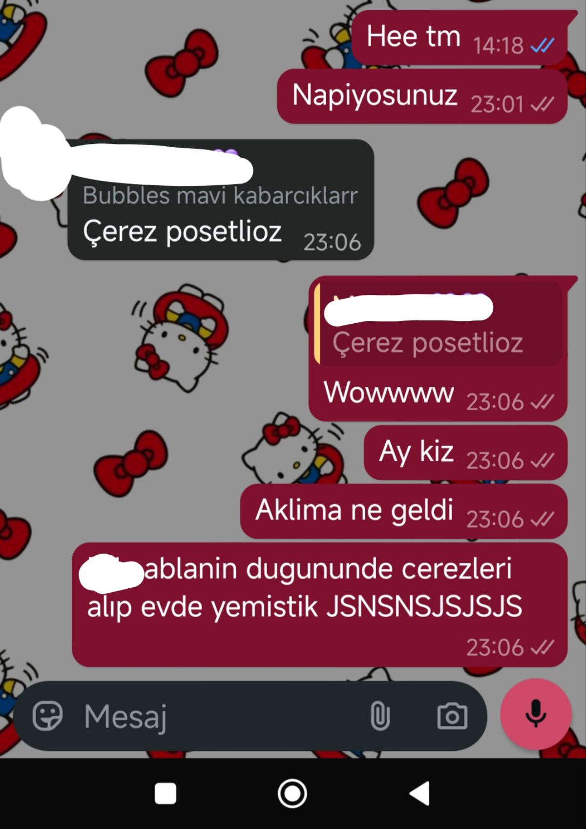 Gönderi görseli