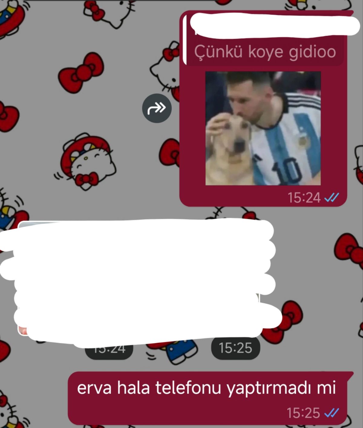 Gönderi görseli