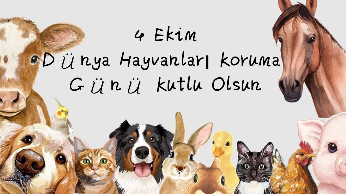 Gönderi görseli