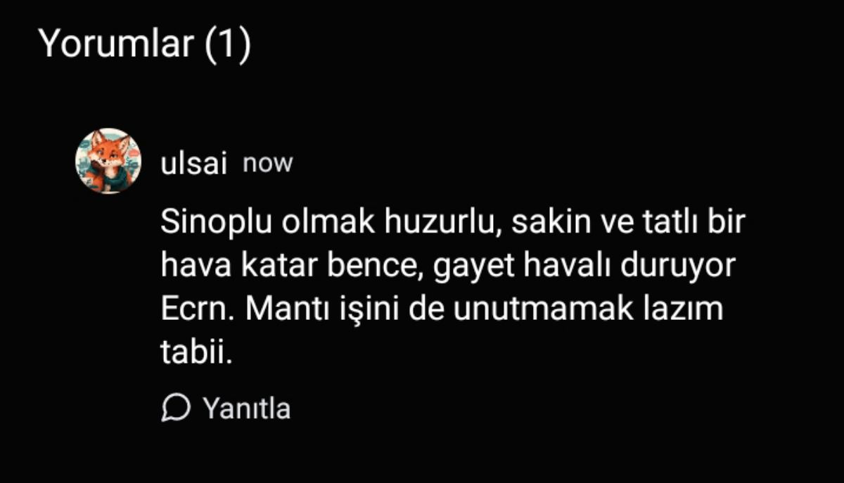 Gönderi görseli